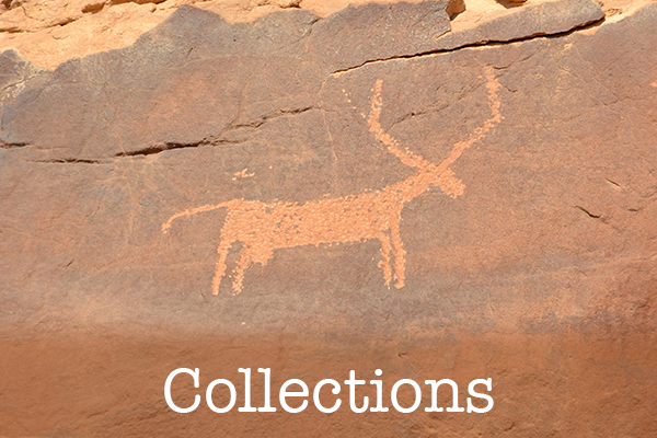 Collection