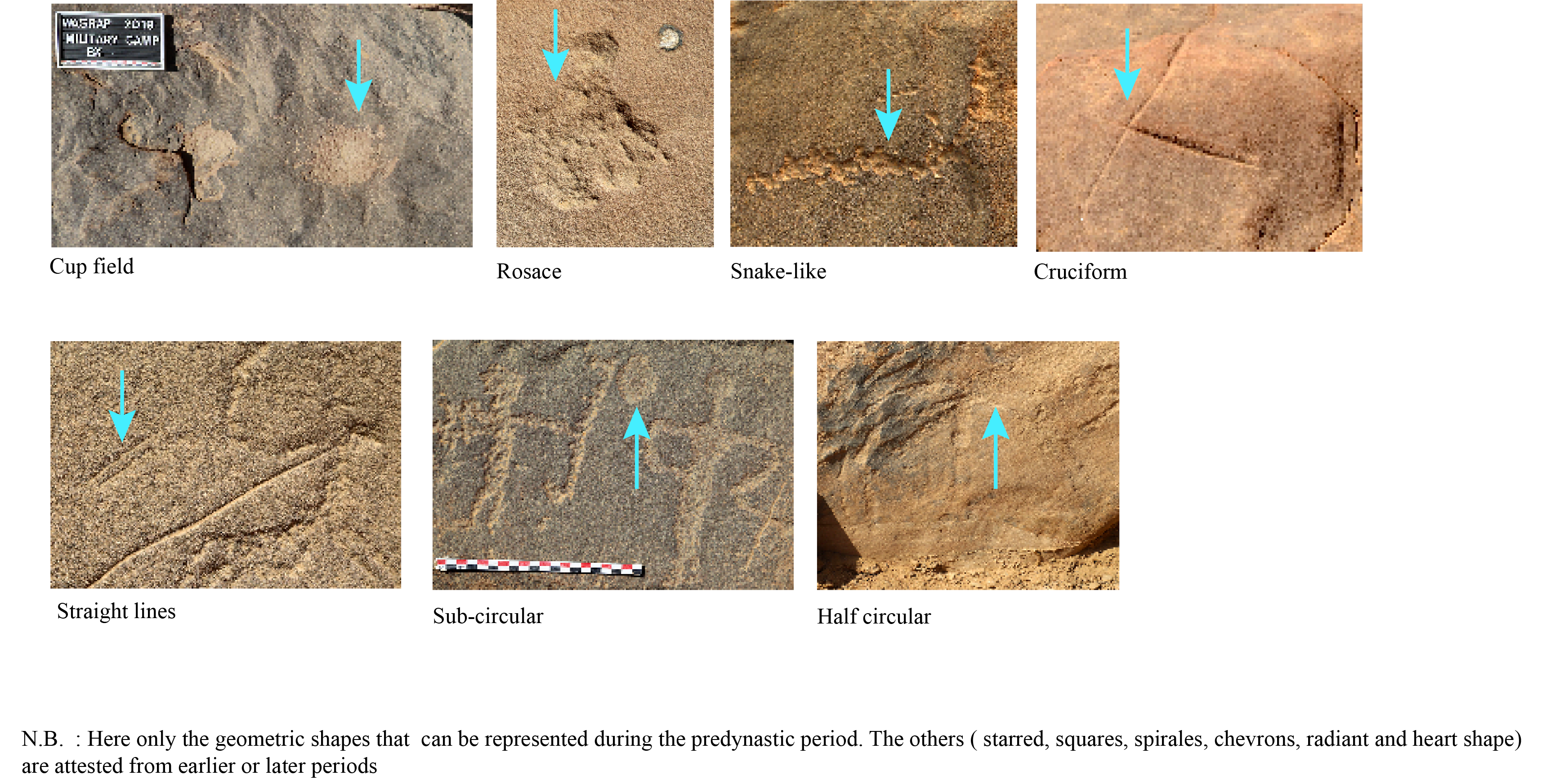 Image for section 1